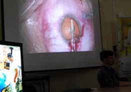 Oční chirurgové předvedli operace v přímém přenosu při Malé pardubické Live