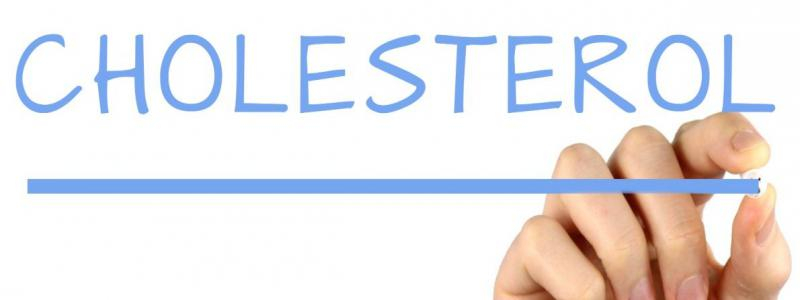 Nové centrum léčby zvýšené hladiny cholesterolu se představí na semináři