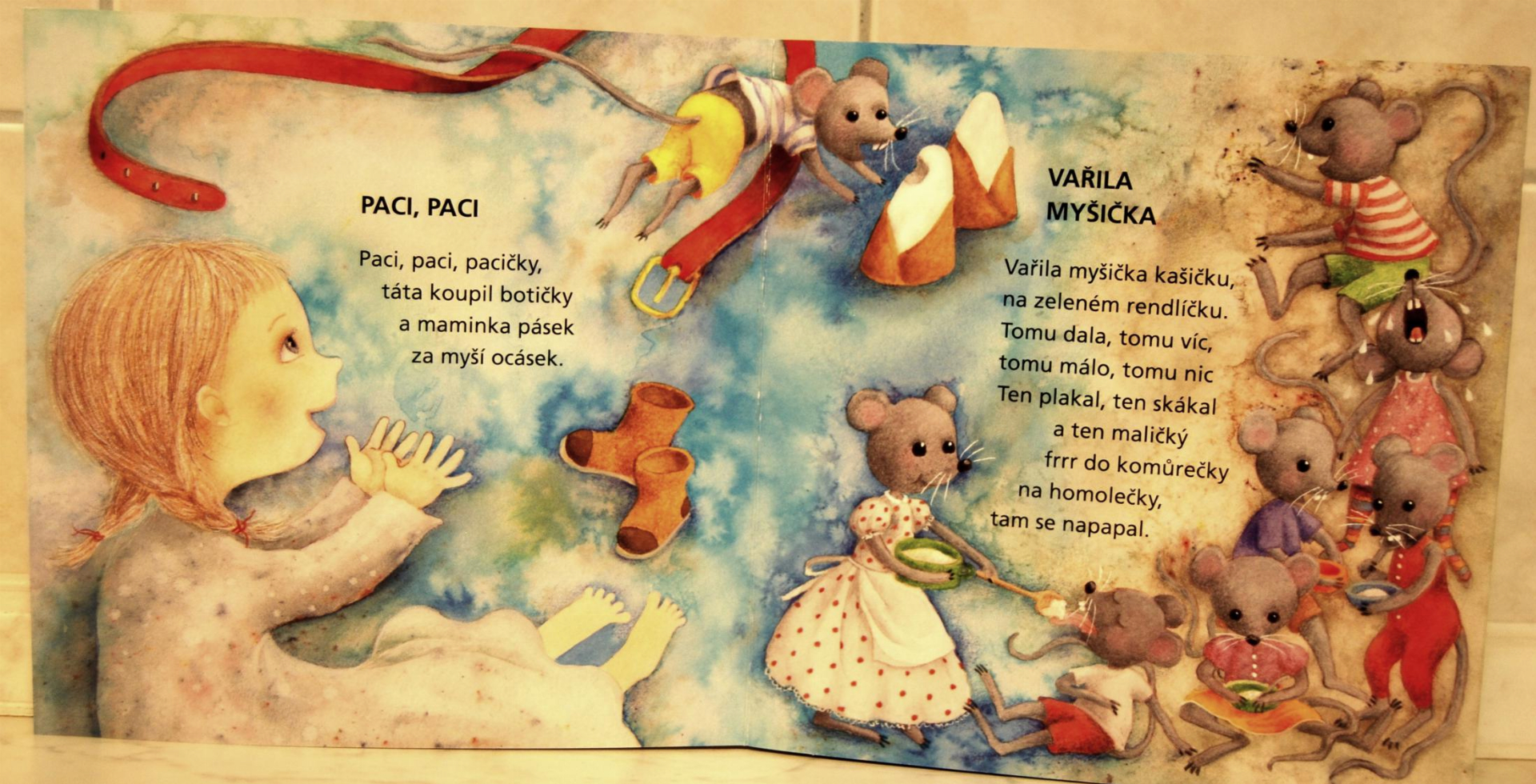 Krajský seminář se věnoval infekcím způsobeným „zlatým stafylokokem“